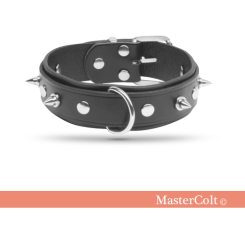 Collar