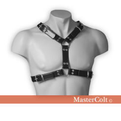 Harness 