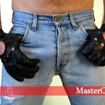 Leather gloves ( car style )