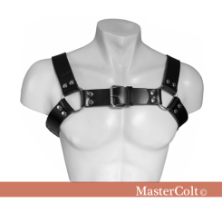 Harness