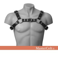 Harness