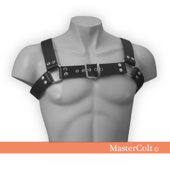 Harness